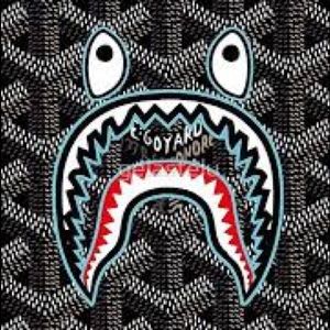 Meet your Posher, Bradyn